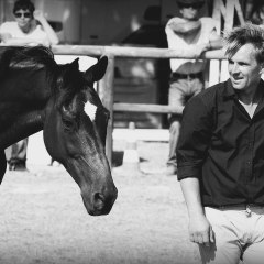 Equicomplice - Damien Chaulet
