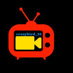 crazybird_13