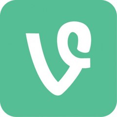 Vines