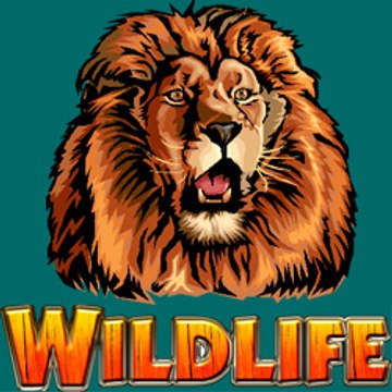 WildLife