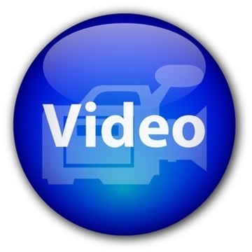 Daily Viral Videos