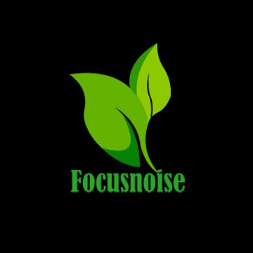 FOCUSNOISE