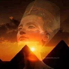 للنخاع مصرى