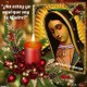 LA ROSA DE GUADALUPE