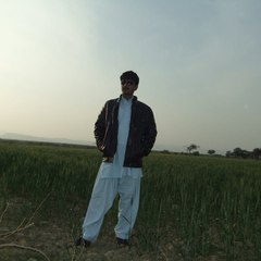 Nain 2155