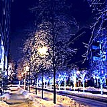 Dasotorufa