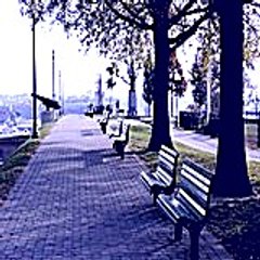 Welirelodi