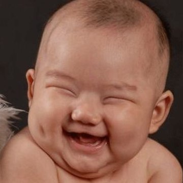 Funny Animals