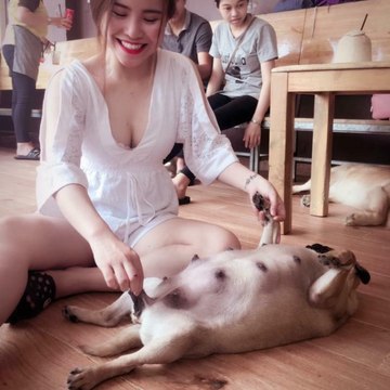 Tranhnhung