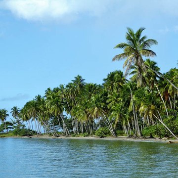 Islamicstudeo