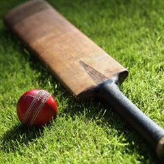 International Cricket