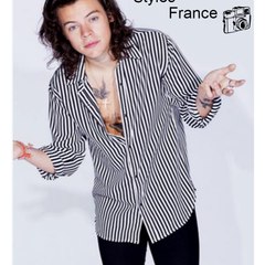 Harry Styles FR