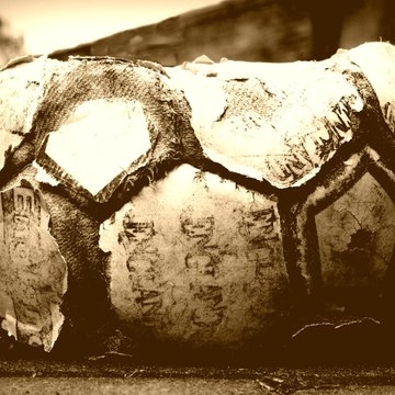 Greek's Football TV