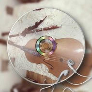 Les Pourquoi du Comment