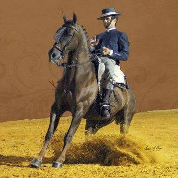 Y el caballo es mi afición