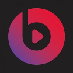 Best Music's 2016