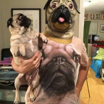 Funny TV