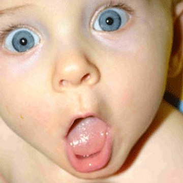 Most Shocking videos