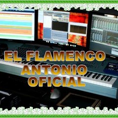 EL FLAMENCO ANTONIO