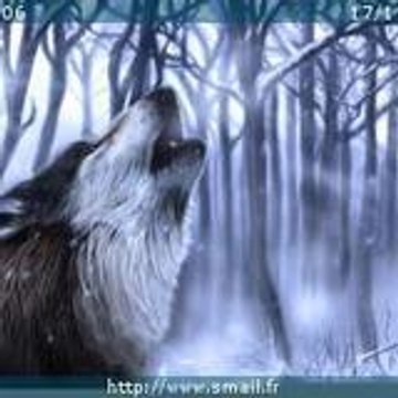 FayssnOop Agzenaye to Morrocco!