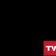 chamon tv