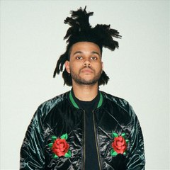 xowasted