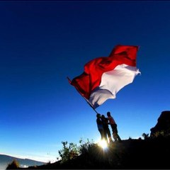 Dedealansutiawan