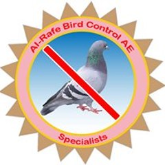 bird Control Al Rafe
