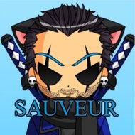 Sauveur Gaming