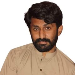 Nohay majlis