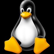 Linux Champion