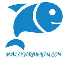 Akvaryum Ilan
