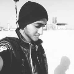 Ali Qasim   Alis Gee