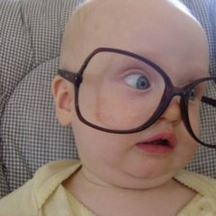 World's Funniest Videos