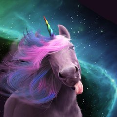 Thehouseofunicorns