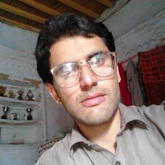 Muhammad Amir