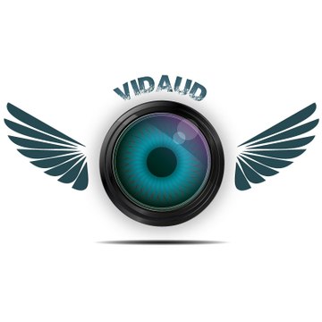 VidAud