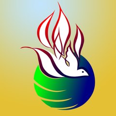 Csspvideos