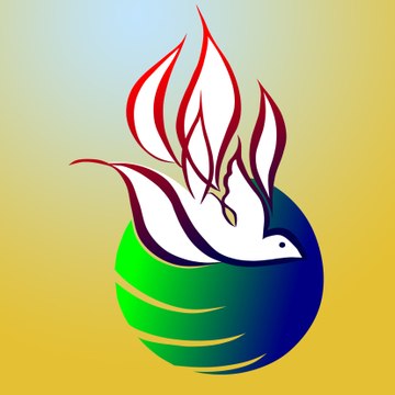 Csspvideos