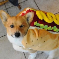 たまラジ