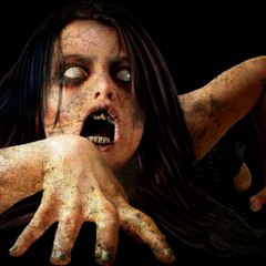 The Horror  Zone