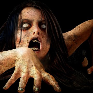 The Horror  Zone