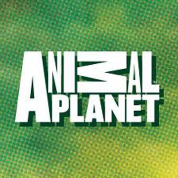 Animal Planet HD