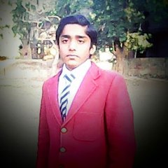 HAMZA ARIF