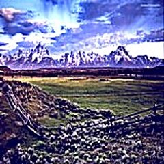 Edgarkanesha 1321