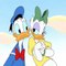 Donald Duck Cartoon