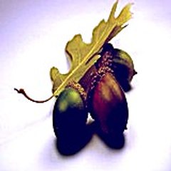 Xihiyu