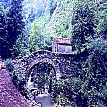 Broderickmceachern82