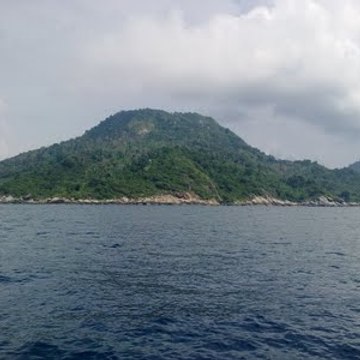 wiwikelate