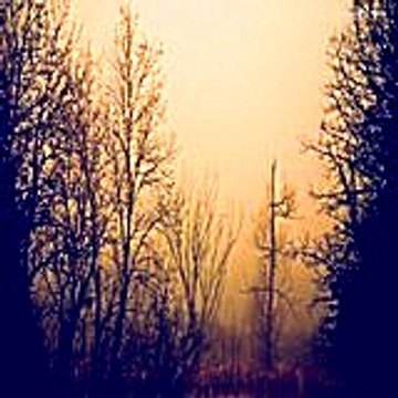 Maryellenrochell 2836